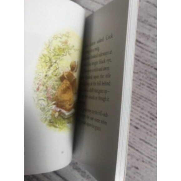 Peter Rabbit Mini Book Collection & plush - Picture 9 of 9